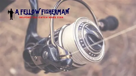 Top Canadian online casino sites